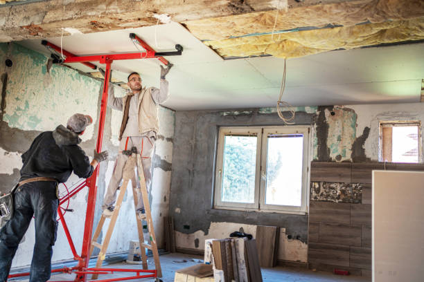 Best Eco-Friendly Insulation in Mission Hills, CA
